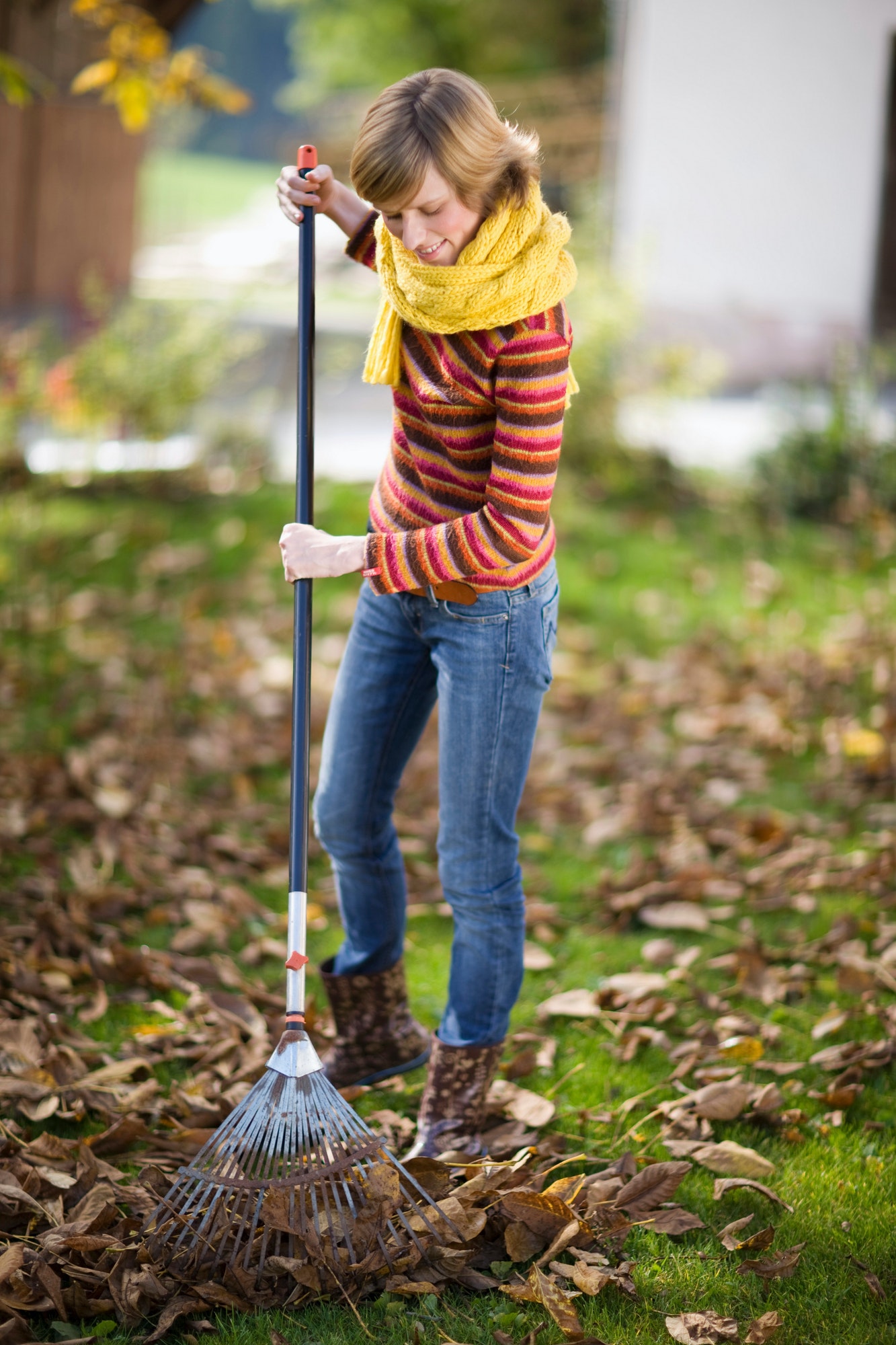 autumnal gardening